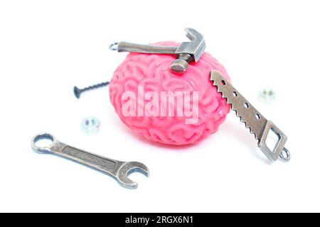 Modello cerebrale umano accompagnato da utensili manuali miniaturizzati come un martello, una sega, chiavi e dispositivi di fissaggio, che simboleggiano il concetto di "fissaggio" e di indirizzamento Foto Stock