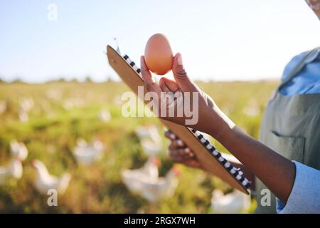 Mano di donna in fattoria con uova, ispezione e polli, appunti e agricoltura sostenibile per piccole imprese in Africa. Allevatore di pollame con lista di controllo Foto Stock