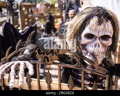 Un teschio peloso presente in queste decorazioni di Halloween. Foto Stock