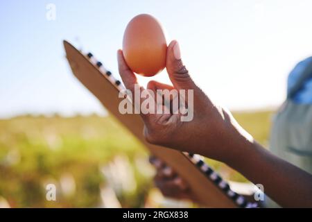 Mano dell'agricoltore in campo con polli, appunti e uova, garanzia di qualità e agricoltura sostenibile per piccole imprese in Africa. Ispezione degli allevamenti avicoli Foto Stock