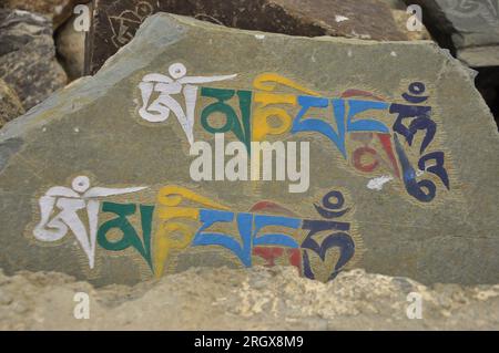 Pietre intagliate con la scritta tibetana "Om mani Padme Hum" a Ladakh, INDIA Foto Stock