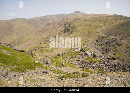 Praterie alpine a Borreguiles de San Juan, Parco Nazionale della Sierra nevada a 2500 metri di altitudine. Granada, Andalusia, Spagna. Foto Stock