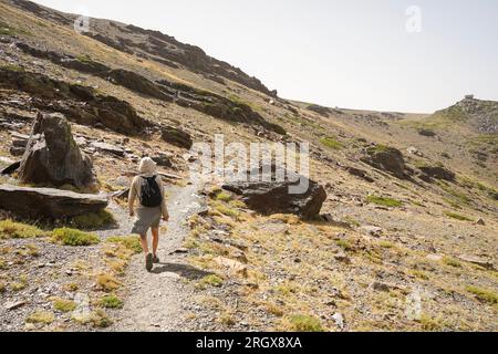 Escursionista che cammina da sola in montagna, Sierra Nevada, nella stagione estiva. Granada, Andalusia, Spagna. Foto Stock