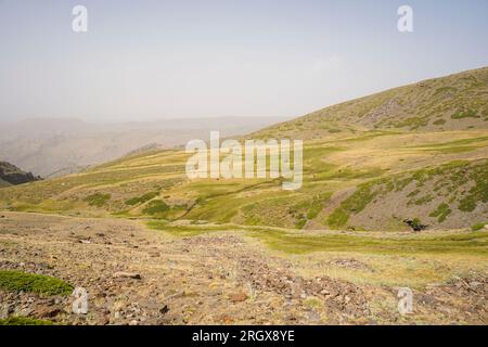 Praterie alpine a Borreguiles de San Juan, Parco Nazionale della Sierra nevada a 2500 metri di altitudine. Granada, Andalusia, Spagna. Foto Stock