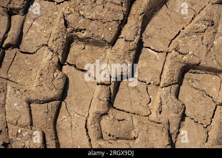 I cingoli degli pneumatici sono stampati su terreno rosso sporco. Segni delle ruote del carrello su fondo terreno. Cingolo pneumatico su sabbia. Tracce di pneumatici fuoristrada. Terra incrinata su c Foto Stock