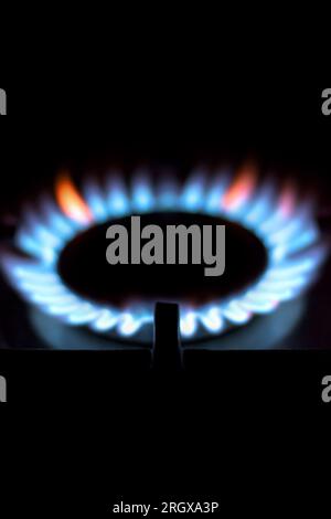 Fiamme blu e arancioni di una stufa a gas. Layout verticale. Foto Stock