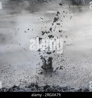 Bolle di gas che eruttano da una piscina di fango nelle sorgenti geotermali di Waiotapu vicino a Roturua, nuova Zelanda. Foto Stock