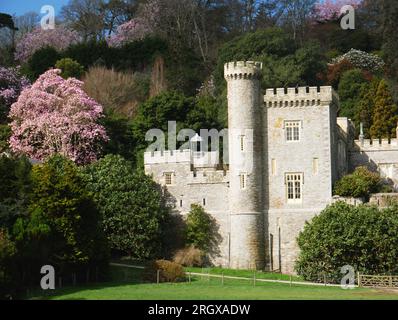 Caerhays Castle e Spring Gardens, Cornovaglia. Foto Stock