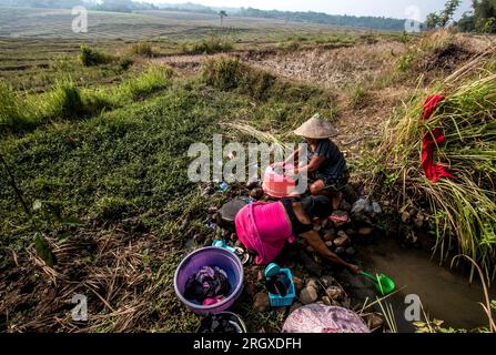 Bogor, Indonesia. 12 agosto 2023. Un residente riempie l'acqua nel suo secchio usa pozze d'acqua campo di riso, in un villaggio alla periferia della capitale, nella reggenza di Bogor, Giava Occidentale, Indonesia, il 12 agosto 2023. I residenti sono costretti ad utilizzare infiltrazioni d'acqua nelle risaie per le necessità quotidiane a causa della scarsità di acqua pulita causata dalla siccità. (Foto di Andi M Ridwan/INA Photo Agency/Sipa USA) credito: SIPA USA/Alamy Live News Foto Stock