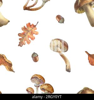 Motivo a funghi marroni senza cuciture. Motivo ad acquerello senza cuciture con illustrazione di funghi, foglie, ghiande, rametti. Tappo con latte di zafferano o pino rosso Foto Stock