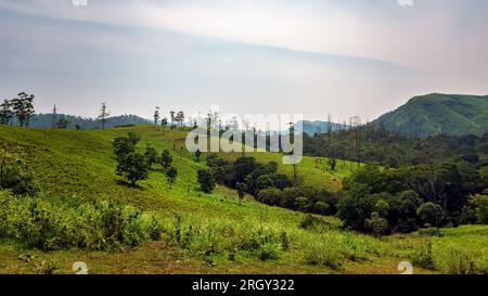 Viaggiando verso il punto panoramico della collina Parunthumpara. Parunthumpara è un villaggio nello stato indiano del distretto di Idukki del Kerala. Foto Stock