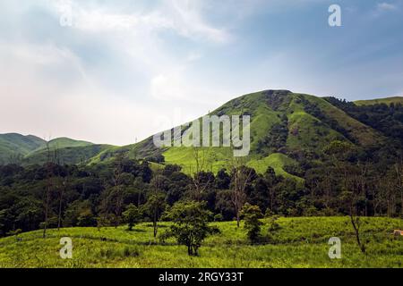 Viaggiando verso il punto panoramico della collina Parunthumpara. Parunthumpara è un villaggio nello stato indiano del distretto di Idukki del Kerala. Foto Stock