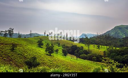 Viaggiando verso il punto panoramico della collina Parunthumpara. Parunthumpara è un villaggio nello stato indiano del distretto di Idukki del Kerala. Foto Stock