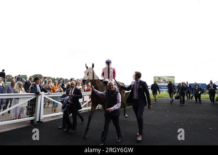 Scampi è dominato dal fantino Saffie Osborne dopo aver vinto il Dubai Duty Free Shergar Cup Challenge durante il Dubai Duty Free Shergar Cup Dash all'ippodromo di Ascot. Data foto: Sabato 12 agosto 2023. Foto Stock