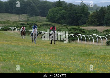 Selkirk, Regno Unito. 12 agosto 2023. Selkirk, Regno Unito. Sabato 12 agosto 2023. Selkirk Flapping Association, gara di gala Rig vicino a Selkirk. Prima GARA i tre fratelli handicap (7 Furlong) credito: Rob Gray/Alamy Live News Foto Stock