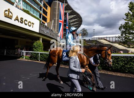 Empirestateofmind guidato dal fantino Frankie Dettori dopo la Dubai Duty Free Shergar Cup Challenge durante la giornata di Dubai Duty Free Shergar Cup all'Ippodromo di Ascot. Data foto: Sabato 12 agosto 2023. Foto Stock