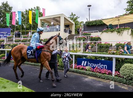 Empirestateofmind guidato dal fantino Frankie Dettori in partenza per il Dubai Duty Free Shergar Cup Mile durante la giornata di Dubai Duty Free Shergar Cup all'Ippodromo di Ascot. Data foto: Sabato 12 agosto 2023. Foto Stock