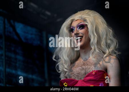 Praga, Repubblica Ceca. 12 agosto 2023. Il festival LGBT Prague Pride culminò con un concerto nella pianura di Letna a Praga, Repubblica Ceca, il 12 agosto 2023. Crediti: Katerina Sulova/CTK Photo/Alamy Live News Foto Stock