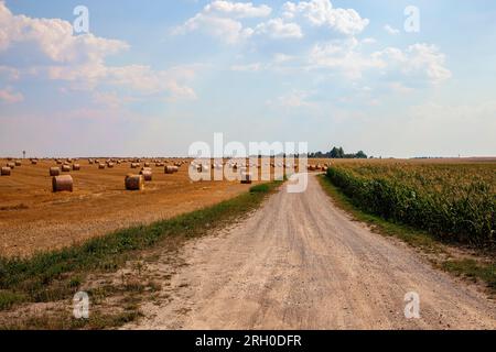 caratteristiche su strada lastricata di sabbia in zona rurale, strada per il traffico in zona rurale Foto Stock