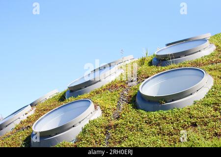 lucernari di forma circolare su una superficie ondulata di erba, sullo sfondo il cielo azzurro. Architettura moderna sostenibile, architettura aco, b Foto Stock