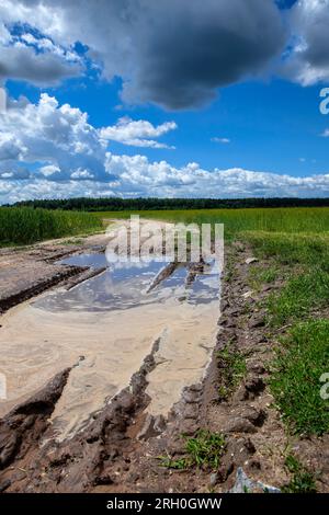 solchi sulla strada per le auto in campo in autunno dopo le piogge, tracce sfocate dalla strada delle auto nel fango Foto Stock