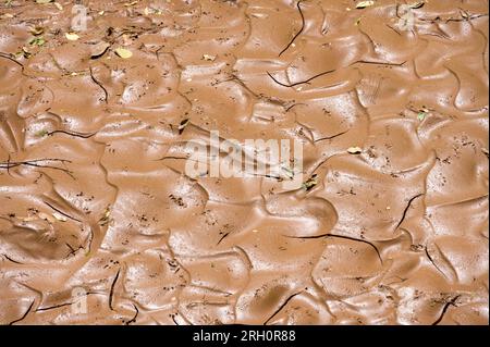 Primo piano di limo e fango di sabbia contenente acqua catturata dietro una diga di sabbia, Pokot, Kenya Foto Stock