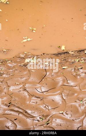 Primo piano di limo e fango di sabbia contenente acqua catturata dietro una diga di sabbia, Pokot, Kenya Foto Stock