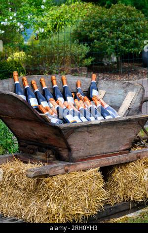 Durante la festa, all'aperto vengono servite molte bottiglie di champagne e vino frizzante. Costa des Bar, Aube, a sud di Champagne, Francia in estate Foto Stock