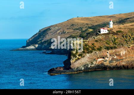 Faro di Taiaroa Head, Taiaroa Head, Dunedin, penisola di Otago, Isola del Sud, nuova Zelanda Foto Stock