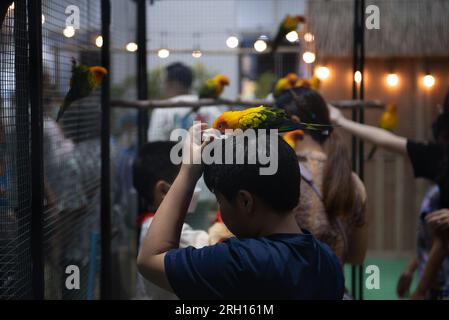 Bangkok, Thailandia. 12 agosto 2023. Le specie di pappagallo sono state esposte alla mostra "PET EXPO CHAMPIONSHIP 2023", al Queen Sirikit National Convention Center, Ratchadaphisek Road, Bangkok il 12 agosto 2023. (Foto di Teera Noisakran/Pacific Press) credito: Pacific Press Media Production Corp./Alamy Live News Foto Stock