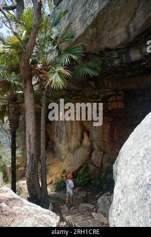 donna che guarda il muro di roccia mentre cammina giù per le scale su un sentiero escursionistico. Blackdown Tableland National Park, Queensland, Australia Foto Stock
