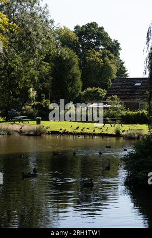 Il laghetto del villaggio, Meriden, West Midlands, Inghilterra, Regno Unito Foto Stock