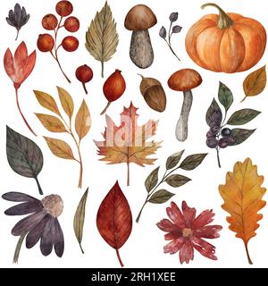 Set di elementi autunnali acquerelli zucca, Dahlia, foglie di fiori e funghi, ghiande di quercia. Illustrazione floreale isolata rustica dipinta a mano per Foto Stock