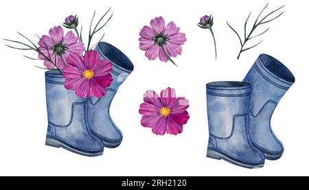 Composizione floreale con bouquet di fiori cosmos in stivali di gomma blu. illustrazione acquerello. Motivi botanici per tessuti, tessuti, carte da parati Foto Stock