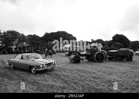 Jaguar e motore di trazione a vapore Carnhell Green Vintage Rally 12 agosto 2023 Foto Stock