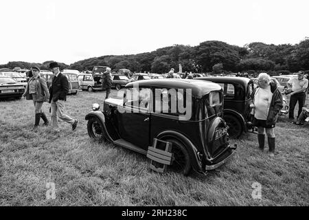 Carnhell Green Vintage Rally, 12 agosto 2023 Foto Stock