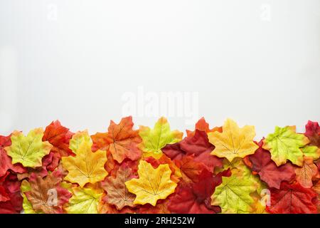 Composizione autunnale. Cornice realizzata con foglie autunnali su sfondo bianco. Foglie in fondo. Spianatura piatta. Copia spazio. Vista dall'alto Foto Stock