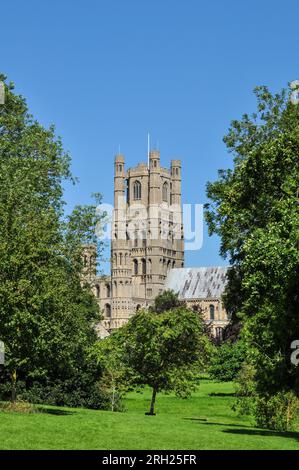 Vista rurale della Cathedral West Tower attraverso gli alberi dal parco di Ely, Cambridgeshire, Inghilterra, Regno Unito Foto Stock