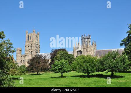 Vista rurale della cattedrale e degli alberi dal parco di Ely, Cambridgeshire, Inghilterra, Regno Unito Foto Stock