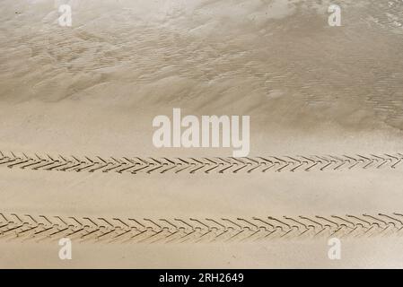 Segni di pneumatici del trattore freschi su una spiaggia sabbiosa. Foto Stock
