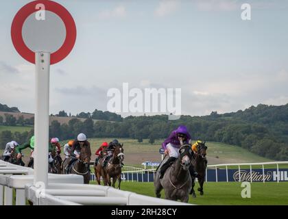 Ippodromo di Chepstow - Gabinetto dei Clowns - Racing League 2023 Foto Stock