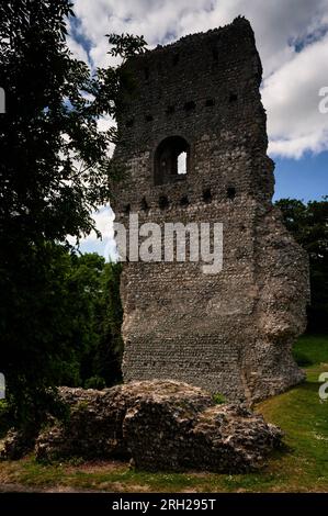 Alta torre di guardia del castello normanno a Bramber nel West Sussex, Inghilterra, costruita in gesso, pietra calcarea, selce locale e costosa pietra Caen vestita. Foto Stock