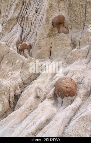 Affascinanti formazioni conosciute come concrezioni di palla di cannone nella North Unit del Theodore Roosevelt National Park Foto Stock