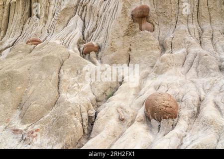Affascinanti formazioni conosciute come concrezioni di palla di cannone nella North Unit del Theodore Roosevelt National Park Foto Stock