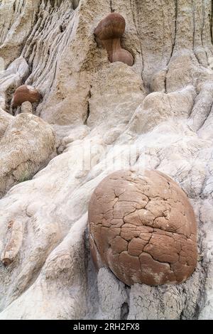 Affascinanti formazioni conosciute come concrezioni di palla di cannone nella North Unit del Theodore Roosevelt National Park Foto Stock