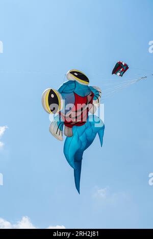 Kite Fest a Jamestown, North Dakota Foto Stock