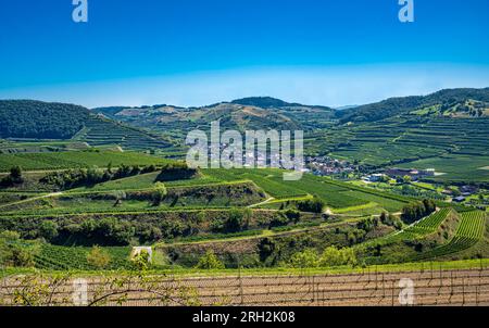 Vista di Oberberg e delle terrazze vinicole dalla cooperativa di Oberberg. Uva Riesling nel famoso vigneto Bassgeige. Kaiserstuhl, Baden Wuert Foto Stock