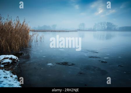 Paesaggio invernale con vista sulla riva di un lago ghiacciato in una giornata nebbiosa, Stankow, Polonia orientale Foto Stock