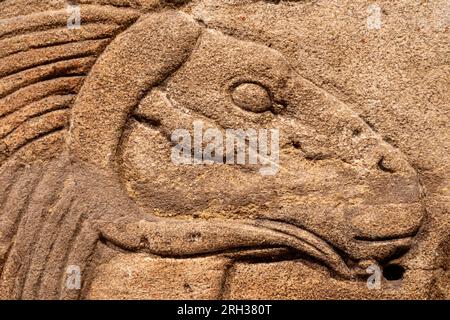 Dettagli sul muro del santuario del faraone Taharqa ad Amun-Re, l'Ashmolean Museum, Oxford, Regno Unito Foto Stock