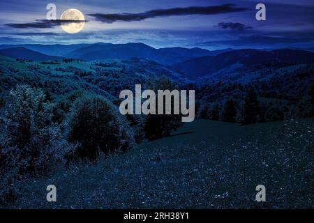 paesaggio montano estivo di notte. abete rosso nei pressi di prati e boschi in collina sotto il cielo con nuvole. splendido paesaggio di campagna in luna piena Foto Stock